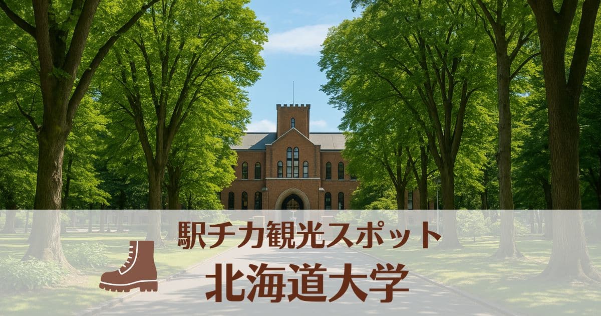 北海道大学キャンパスおすすめ散策コース！札幌駅からのアクセスや見どころも解説
